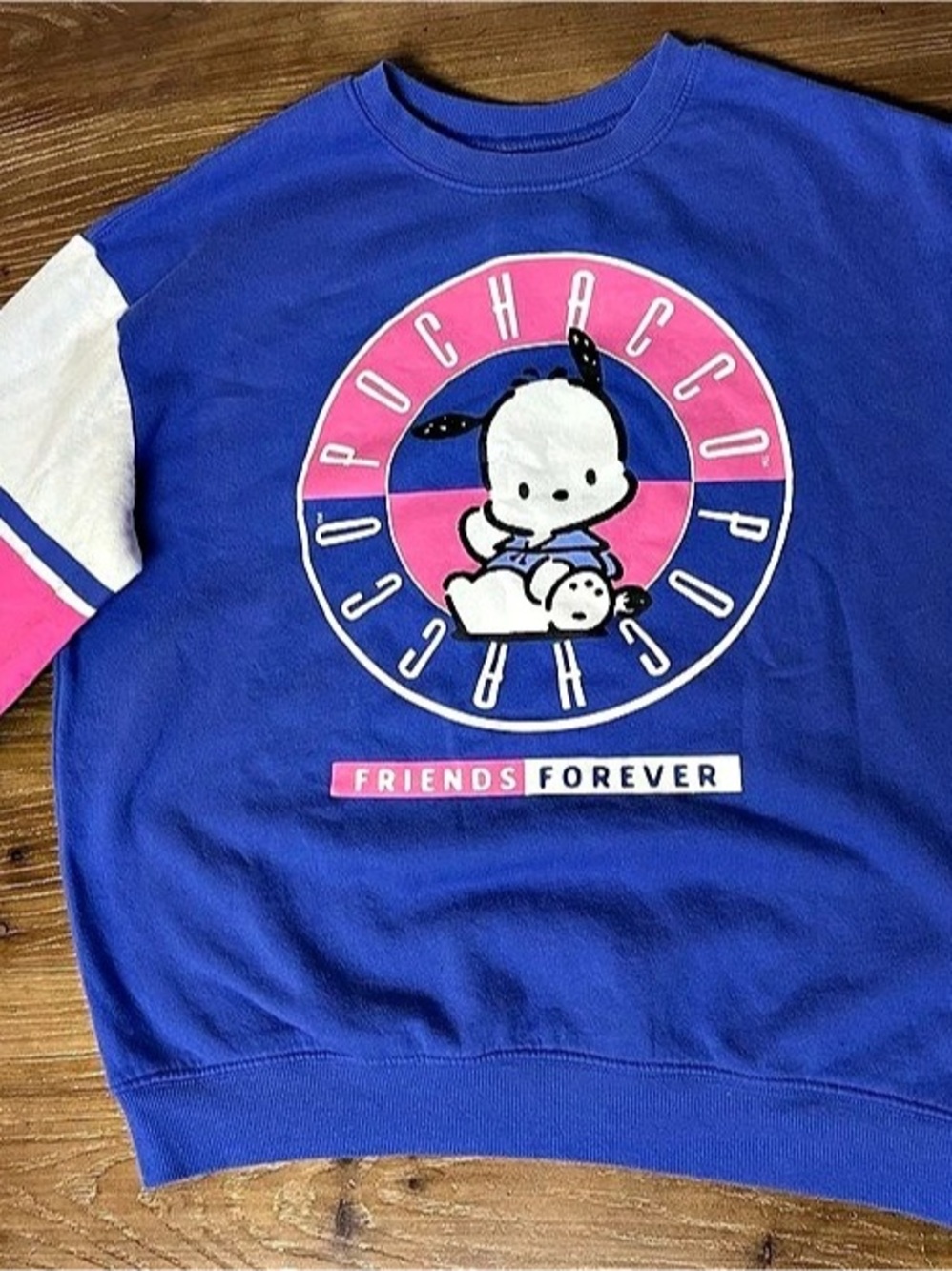Sanrio Pochacco Friends Forever Color Block Sweatshirt Size Medium